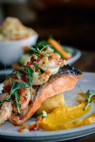 Salmon