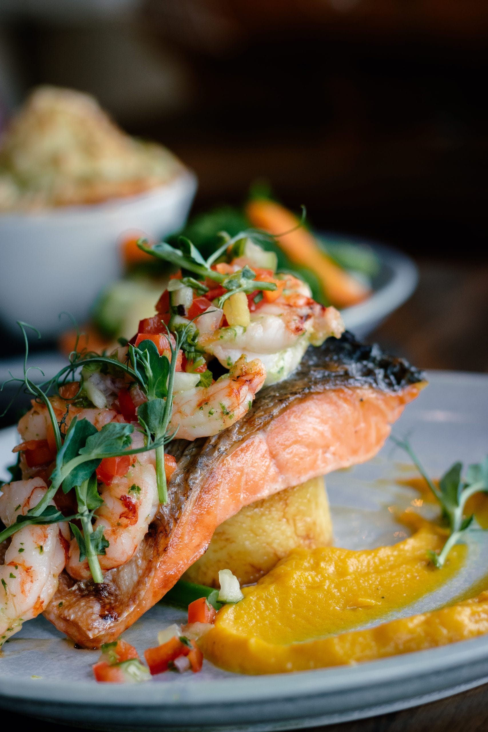 Salmon