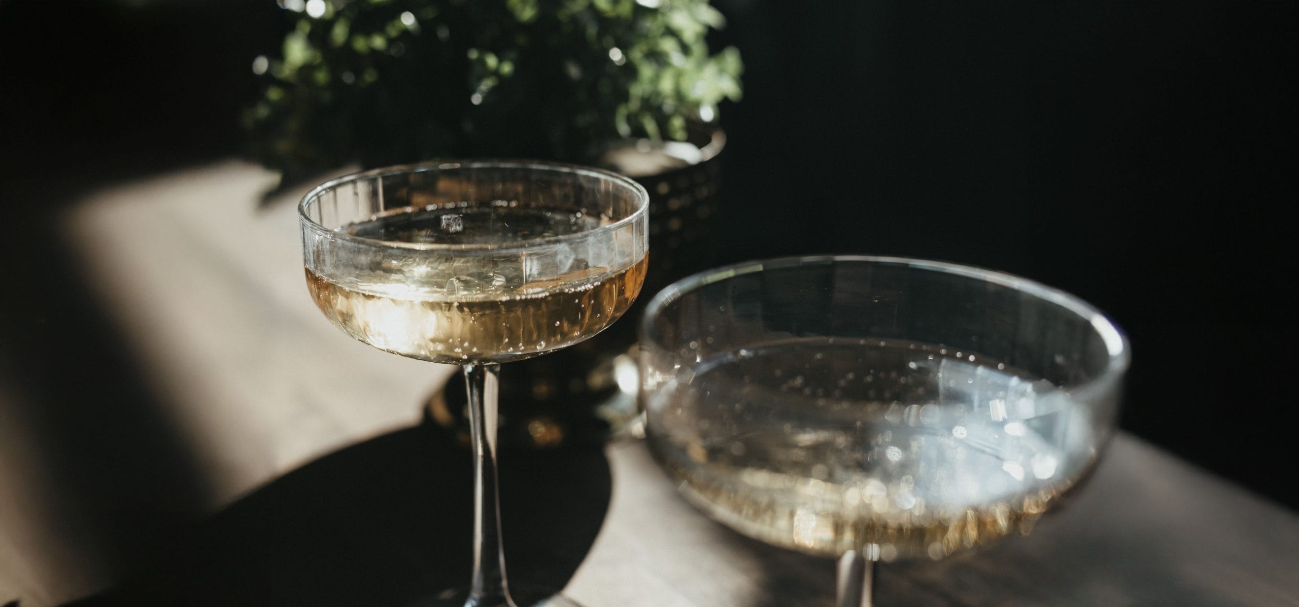 Champagne Glasses